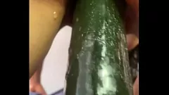 Abspielen Haarige Göttin sehnt sich nach mehr als einem Schwanz: Masturbation mit einer Gurke